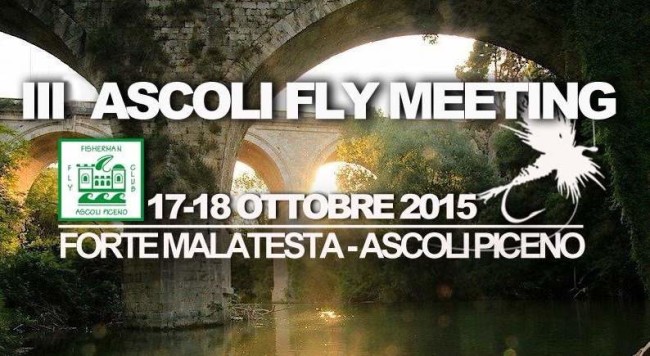 Ascoli Fly Meeting