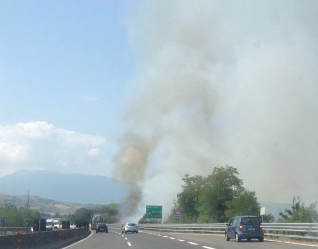 Incendio lungo l'Ascoli - Mare vicino a Spinetoli Ph © Davida Zdrazilkova Ruggieri