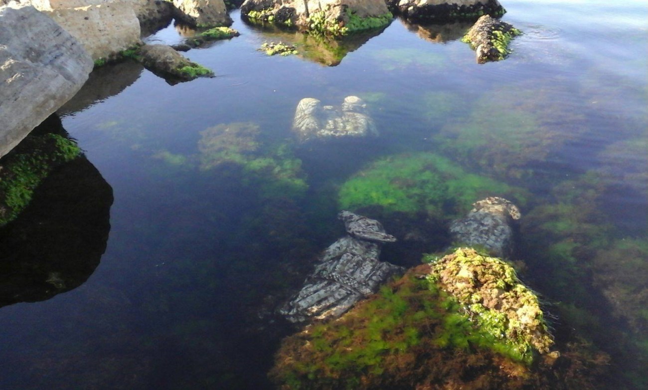 La “Natività” di Straccia ripulita dalle alghe