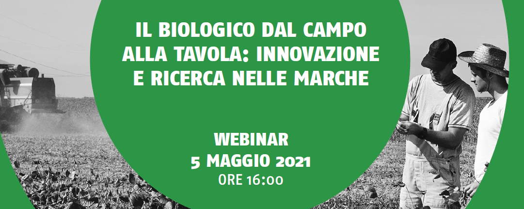 Università Marchigiane, mercoledì 5 maggio il webinar congiunto “Il biologico dal campo alla tavola: innovazione e ricerca nelle Marche”