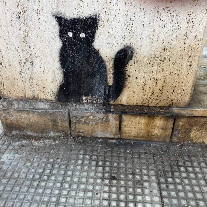 Meglio un Gatto nero…